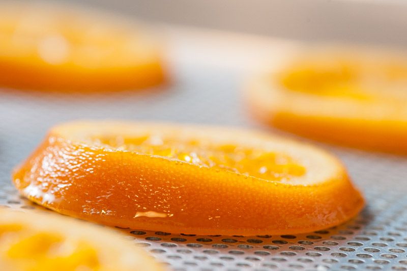 A dried candied orange slice on perforated trays.