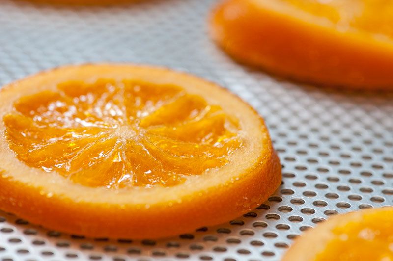 Candied Orange Slices drying on perforated trays.