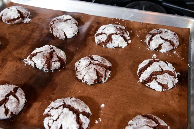 Warm chocolate crinkle cookies.