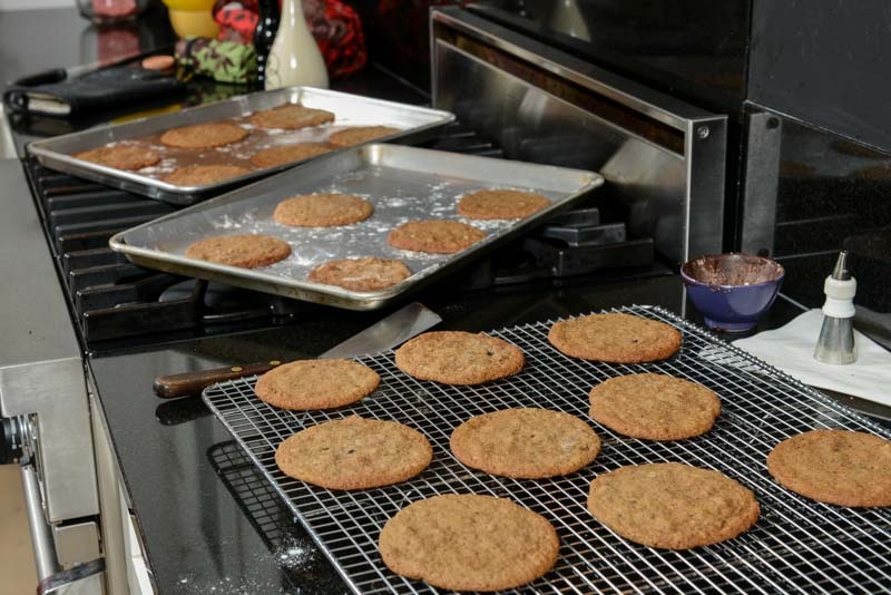 Butterscotch cookies baked and ready for thieving.