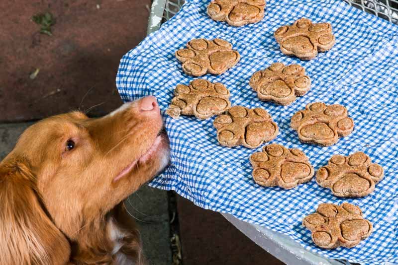 Homemade Dog Treats The Finer Cookie.