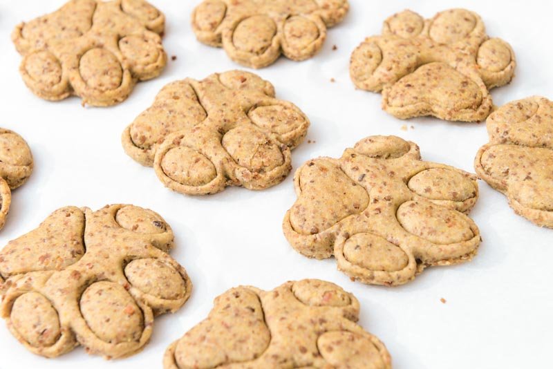 Placing the dog treats on the baking tray.