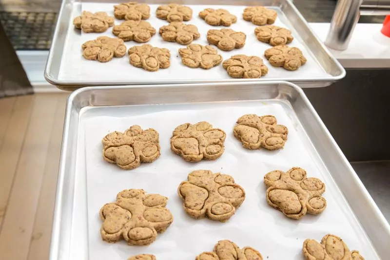 The Dog Treats are ready for the oven.