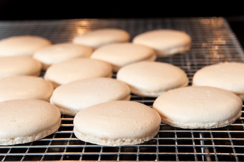 Baked macaron cookies.