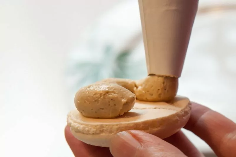 Piping the espresso buttercream onto half the macaron cookie.