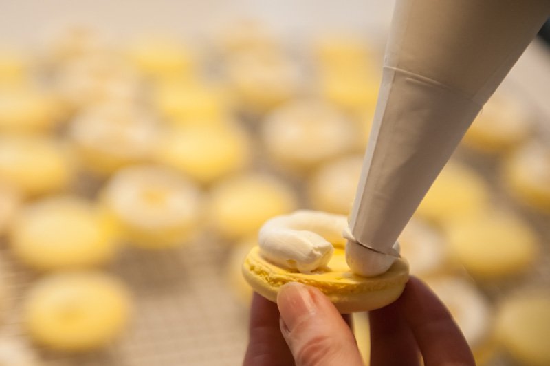 Piping the lemon buttercream onto the macaron shell.