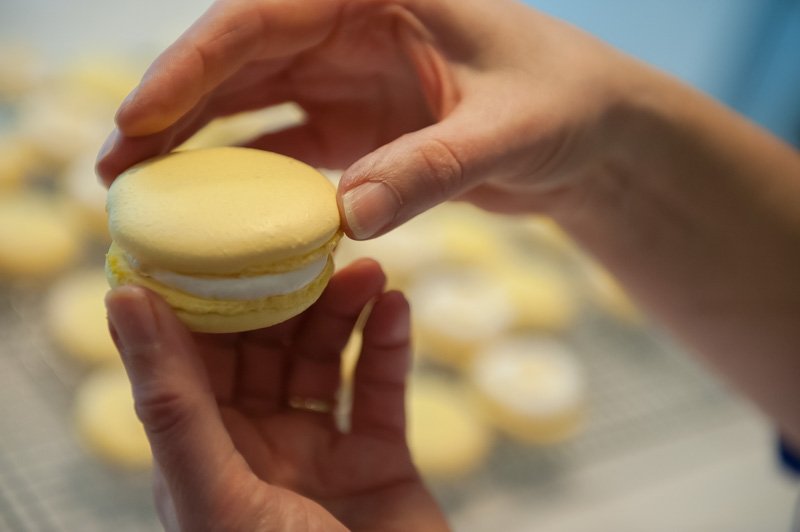 Completed lemon macarons.