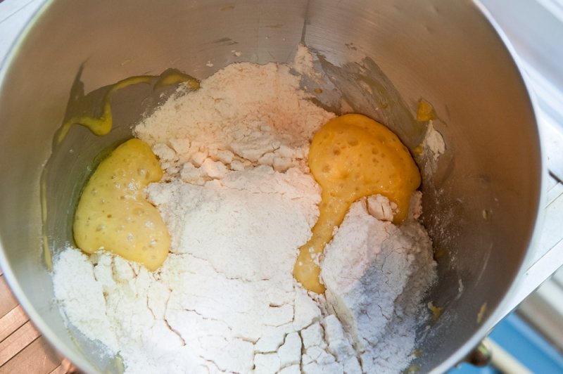 Brioche starter bubbling through the flour blanket.