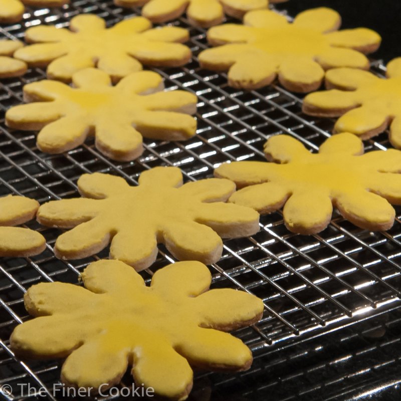 Painted Daisy Cookies
