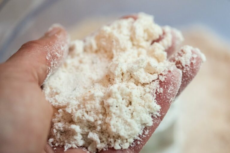 Hazelnut Fennel Butter Cookies Recipe The Finer Cookie