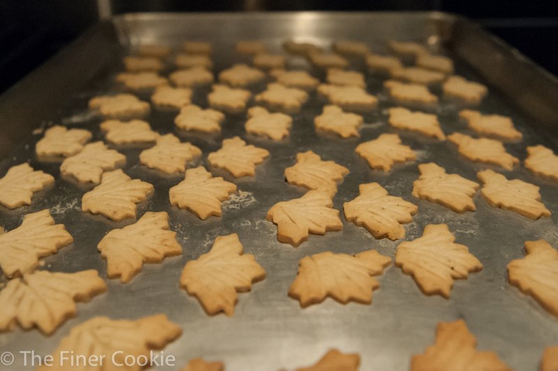 Cookies just out of the oven.