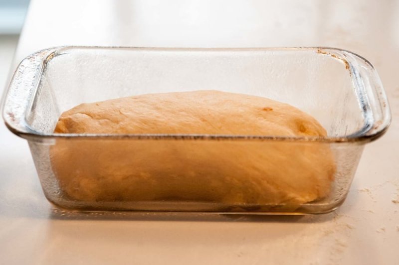 The dough shaped into a loaf and ready for its last rise.