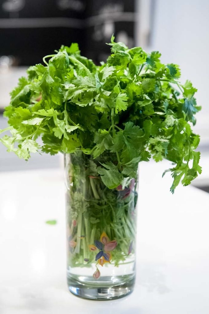 Cilantro.