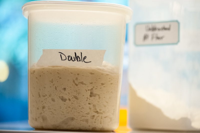The dough after the first rise.