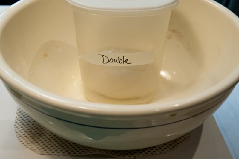 Dough set to double in its container.