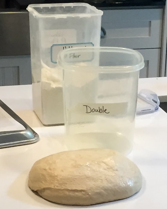 The dough ready for shaping.
