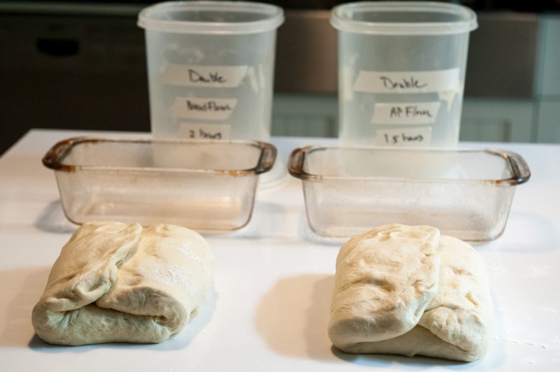 Starting to fold the dough into a loaf. Notice the bread flour dough on the left has slightly more volume. This could be because it had more time to rise, but it was also heavier and firmer to the touch.