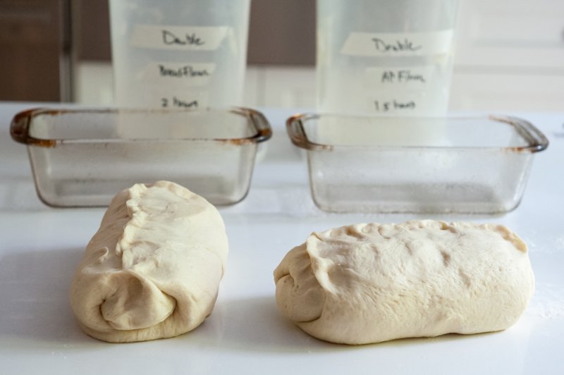 Still there is more volume and weight with the dough made with bread flour.