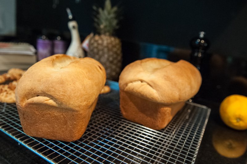 At this point, it’s easy to see which loaf is made with AP flour and which is made with bread flour.