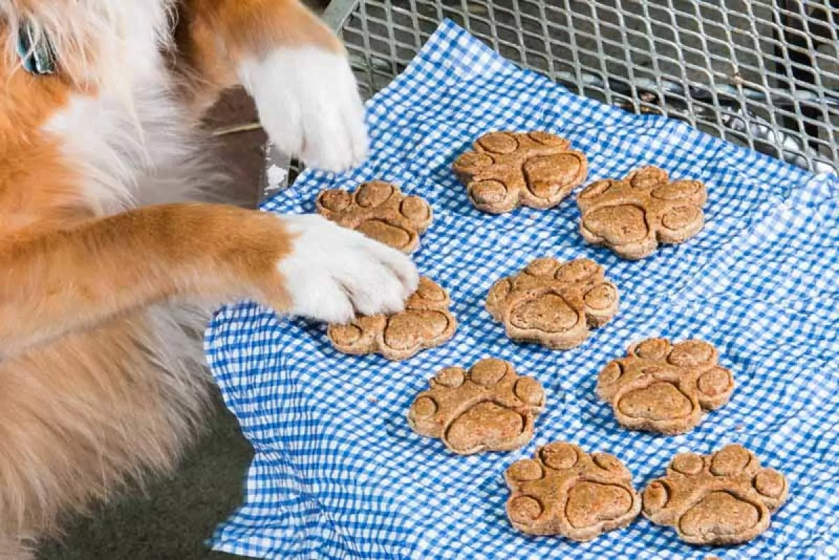 Homemade Dog Treat Toy Filling Recipe - {Not Quite} Susie Homemaker