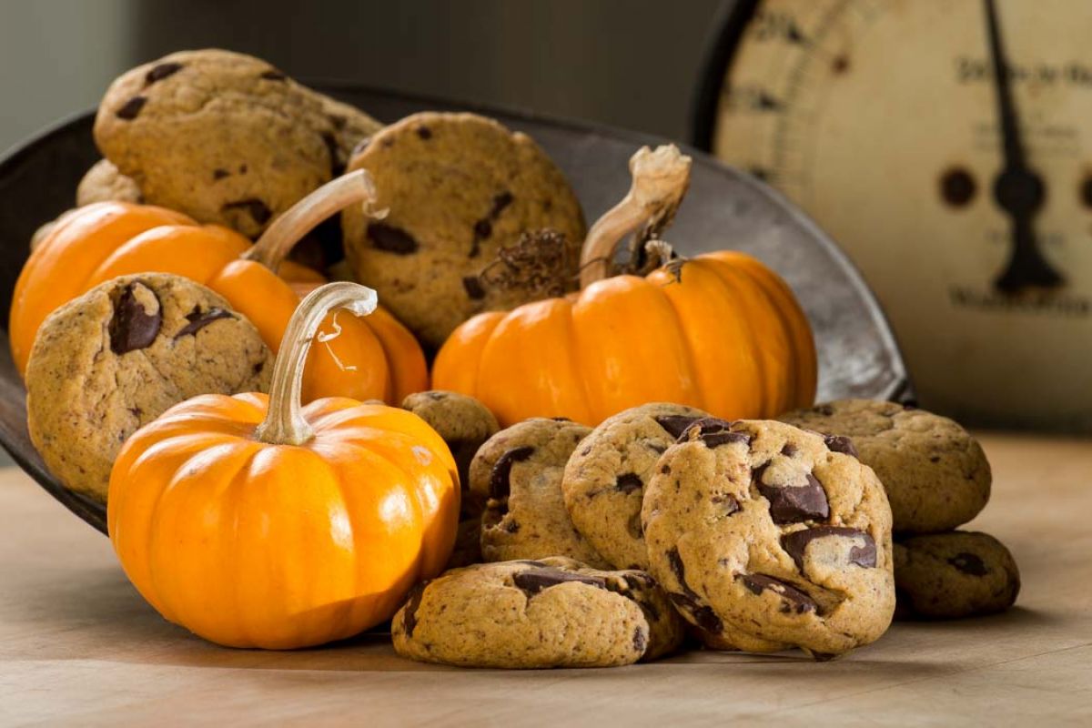 Pumpkin chocolate chip cookies in a bowl with small decorative pumpkins
