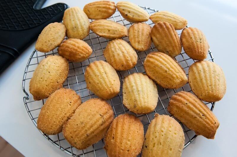 Freshly unmolded Lemon Thyme Madeleines