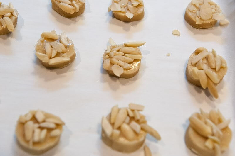 Cookies coated with slivered almonds.