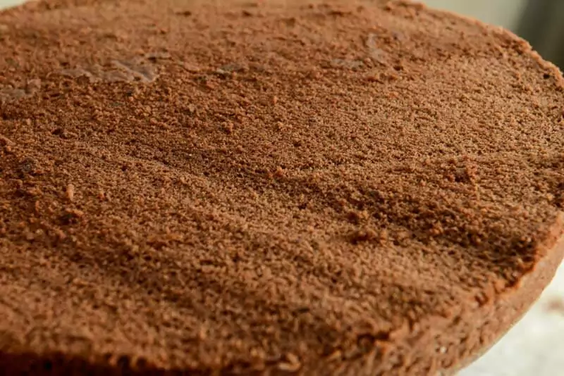 Crumb of the chocolate cake.