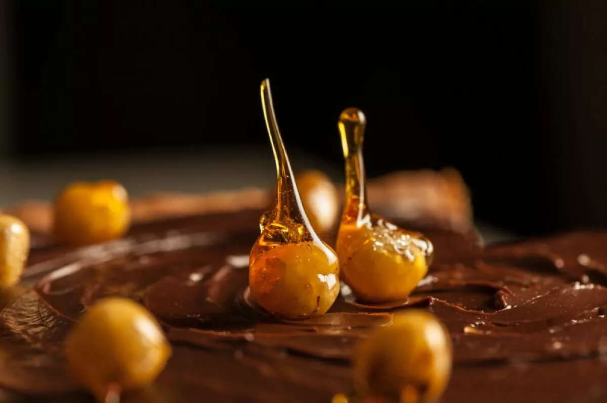 Chocolate Hazelnut Mousse Tart