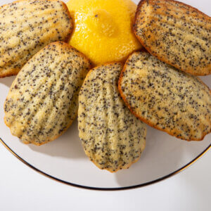 Lemon Poppyseed Madeleine The finer cookie